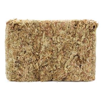 Terra Exotica Sphagnum Moos - ca. 1 kg